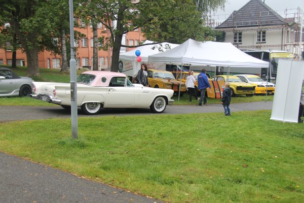 Bilens Dag 2013 – bilde 81