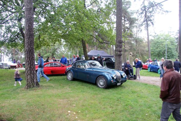 Bilens Dag 2014 – bilde 10