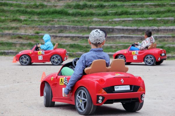 Bilens Dag 2014 – bilde 28