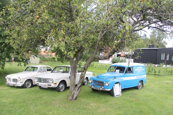 Bilens Dag 2015 – bilde 20
