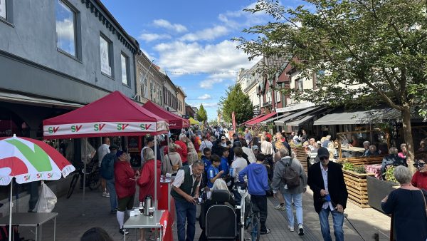 Bilens Dag 2025 – bilde 106
