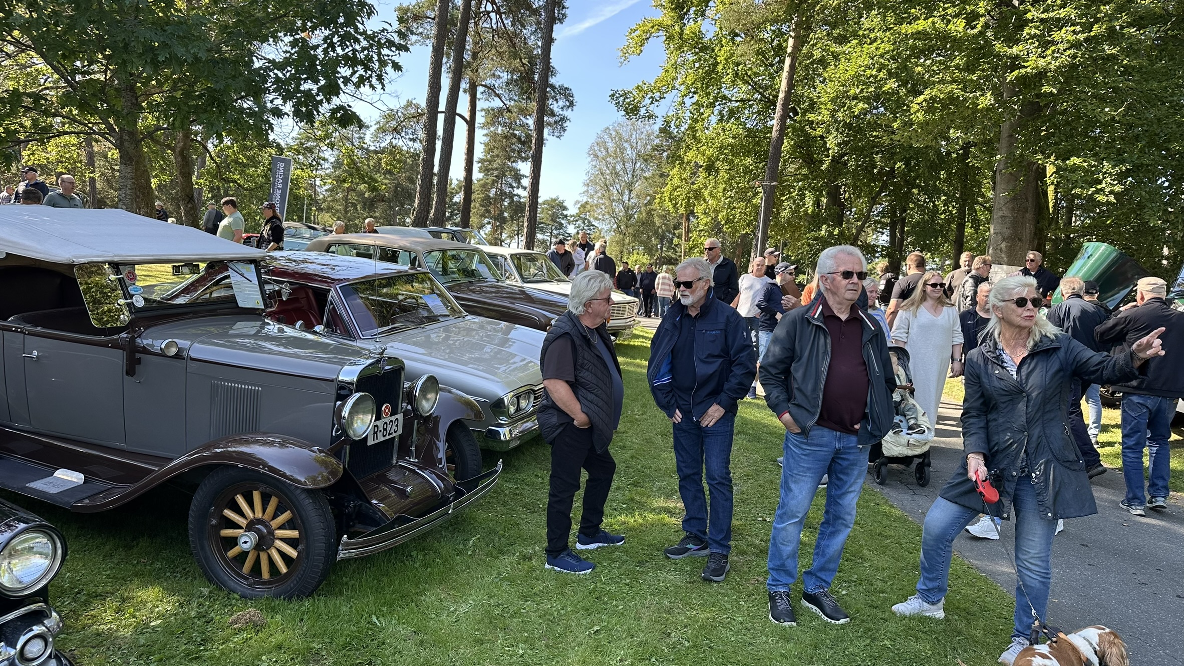 Bilens Dag