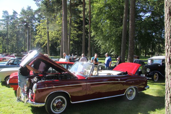 Bilens Dag 2012