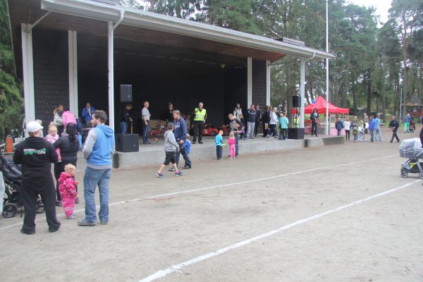 Bilens Dag 2013