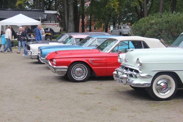 Bilens Dag 2013