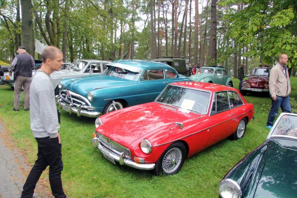 Bilens Dag 2014